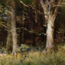 Beeches near the Raven's Wood - James Cowper