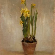 Dwarf Daffodils - James Cowper