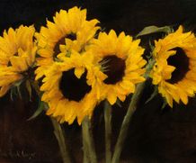 Sunflowers - James Cowper